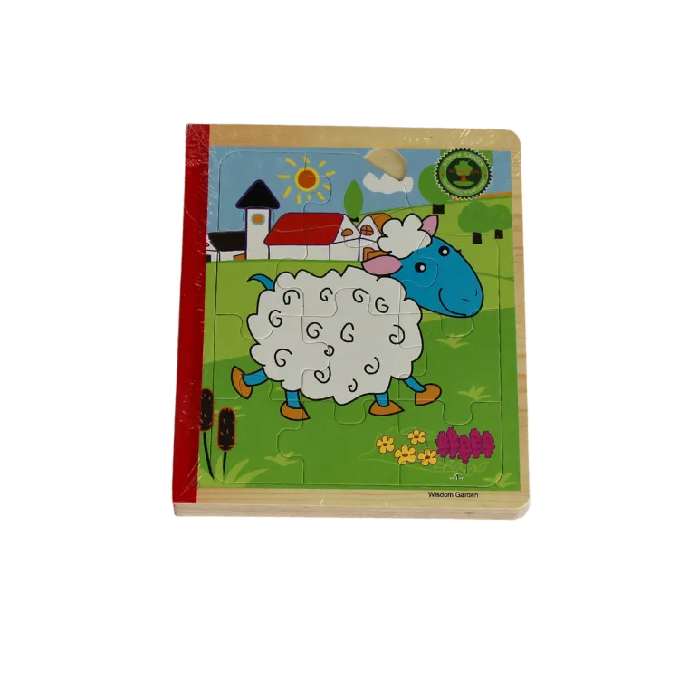 Libro Rompecabeza En Madera 6 En 1